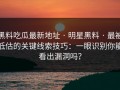 黑料吃瓜最新地址 · 明星黑料 · 最被低估的关键线索技巧：一眼识别你能看出漏洞吗？