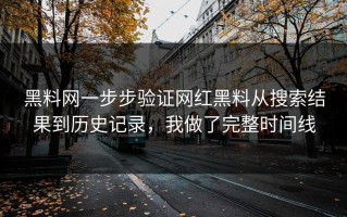 黑料网一步步验证网红黑料从搜索结果到历史记录，我做了完整时间线