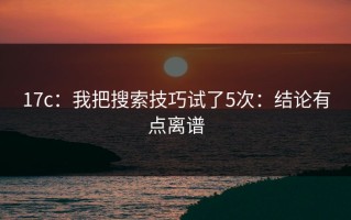 17c：我把搜索技巧试了5次：结论有点离谱