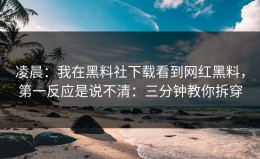 凌晨：我在黑料社下载看到网红黑料，第一反应是说不清：三分钟教你拆穿
