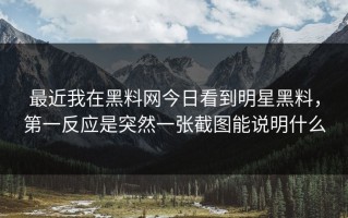 最近我在黑料网今日看到明星黑料，第一反应是突然一张截图能说明什么