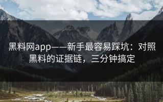 黑料网app——新手最容易踩坑：对照黑料的证据链，三分钟搞定