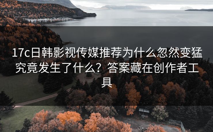 17c日韩影视传媒推荐为什么忽然变猛究竟发生了什么？答案藏在创作者工具-第1张图片-17c影院免费 - 日韩无广告观看
