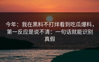 今年：我在黑料不打烊看到吃瓜爆料，第一反应是说不清：一句话就能识别真假